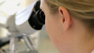 Recherche, Développement et Fabrication Dr. Hauschka Recherche, Développement et Fabrication Dr. Hauschka