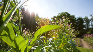 Questions sur protection de l'environnement Dr. Hauschka Questions sur protection de l'environnement Dr. Hauschka